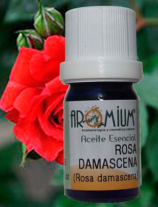 Ätherisches Rosa Damascena-Öl – Absolut