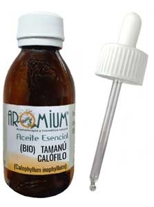 Aceite vegetal Tamanu - Calófilo Bio