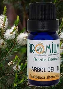 [AR001AE] Tea Tree Essential Oil