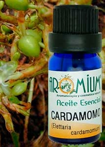 [AR008AE] Olio essenziale di cardamomo