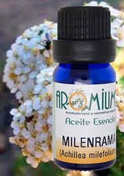 [AR061AE] Aceite esencial Milenrama