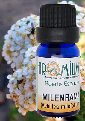 [AR061AE] Aceite esencial Milenrama