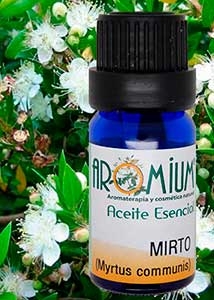 [AR063AE] Green Myrtle essential oil