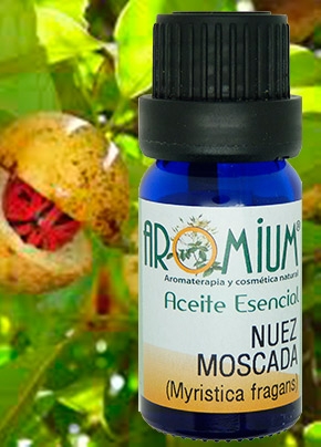 [AR065AE] Nutmeg essential oil