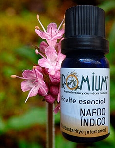 [AR068AE] Indian Spikenard essential oil