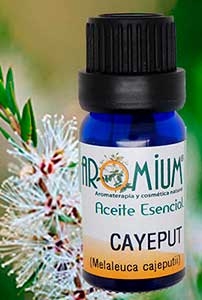 [AR06AE] Cayeput essential oil - Cajeput