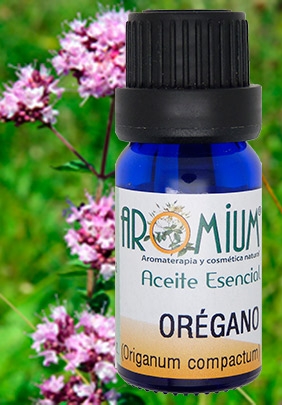 [AR071AEB] Olio essenziale di origano biologico