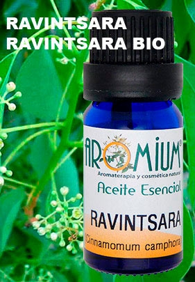 [AR086AEB] Olio essenziale biologico Ravintsara