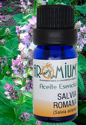 [AR092AE] Olio essenziale di Salvia Romana