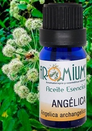 [AR113AE] Aceite esencial Angélica