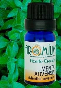 [AR115AE] Mint Arvensis essential oil