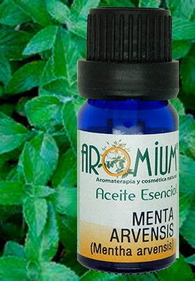 [AR115AEB] Menta Arvensis Olio essenziale biologico