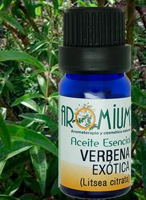 [AR117AE] Olio essenziale di Verbena esotica