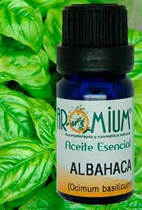 [AR120AE] Aceite esencial Albahaca