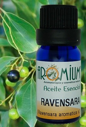 [AR160AE] Aceite esencial Ravensara