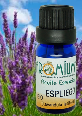 [AR161AEB] Aceite esencial Espliego Bio