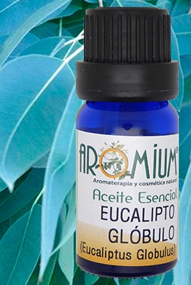 [AR21AEB] Eucalyptus globulus Bio essential oil