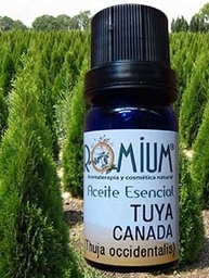 [AR233AE] Olio essenziale di Tuya dal Canada