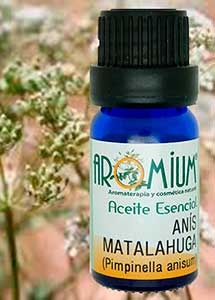 [AR237AE] Anise Matalahuga essential oil