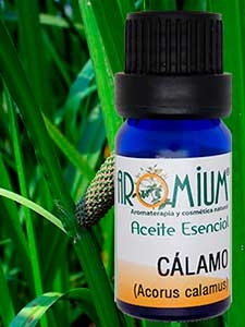 [AR273AE] Olio essenziale di calamo