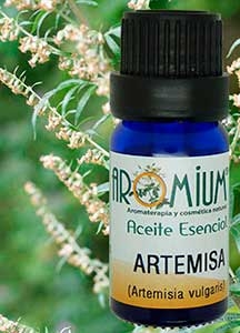 [AR276AE] Mugwort essential oil