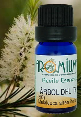 [AR347AEB] Organic Tea Tree essential oil