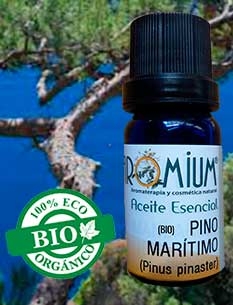 [AR369AEB] Olio essenziale biologico di Pino Marittimo - Trementina